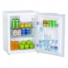 Imagen de Mini Nevera C72